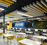 Visa˾޶зĮ̇