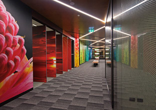 影像空间 Canon澳洲悉尼办公设计欣赏
