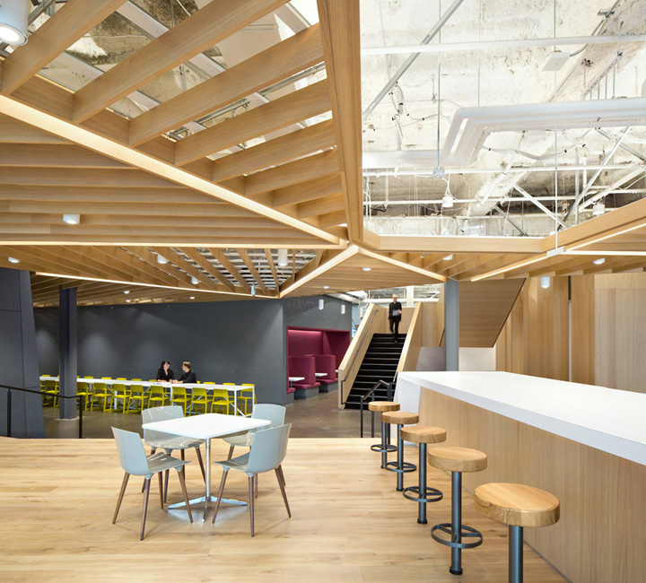 木之森林 旧百货大楼改造的微软加拿大总部设计欣赏