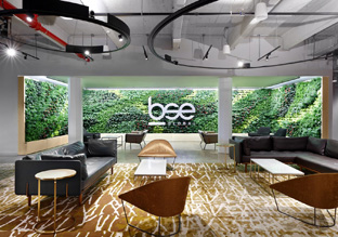 布鲁克林工业风 体育娱乐BSE Global纽约总部办公设计欣赏