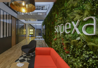 悠然恬淡 法国国际宣传营销机构Sopexa巴黎总部设计欣赏
