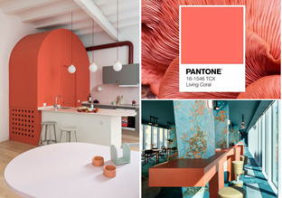 Pantone 2019ɫɺůĹռ