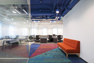 Tata咨询公司圣保罗总部 办公地毯