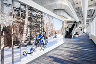 越野赛车顶级制造商Polaris美国总部办公 墙面图形