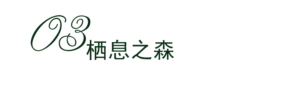 想象，未来栖息 虫子Amber Meeting西安办公设计欣赏