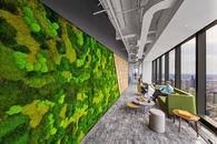 Accenture埃森哲纽约创新中心 墙面绿植