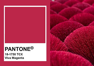 Pantone2023ɫǷViva Magenta