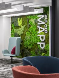 咨询公司Mapp伦敦总部办公 墙面绿植