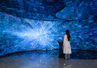 万象数海：每日互动数智展厅设计