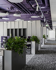 罗马尼亚银行办公 开放办公区 罗马尼亚银行办公 开放办公区