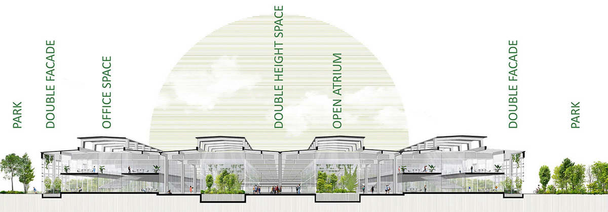 Schneiderʩ͵µģɳҵ