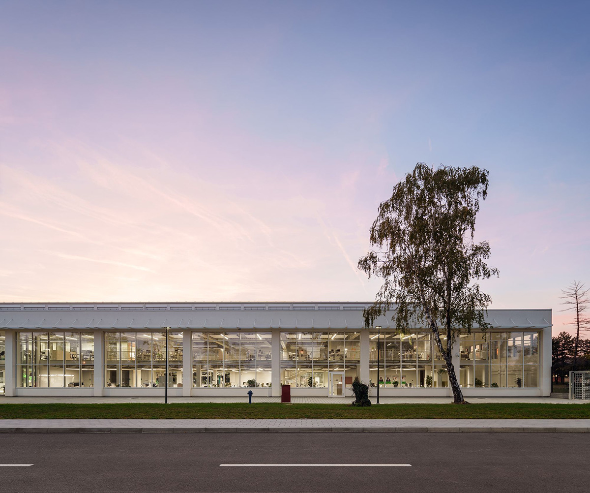 Schneiderʩ͵µģɳҵ