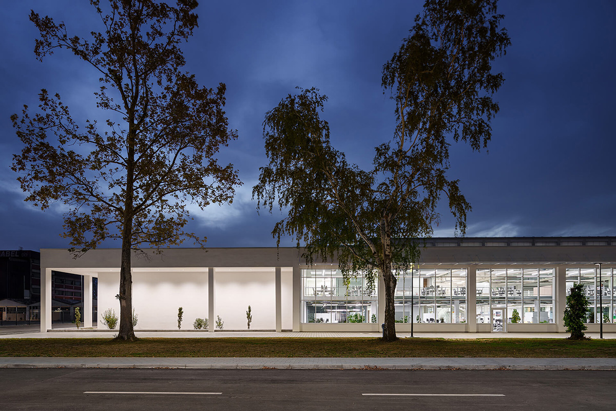 Schneiderʩ͵µģɳҵ