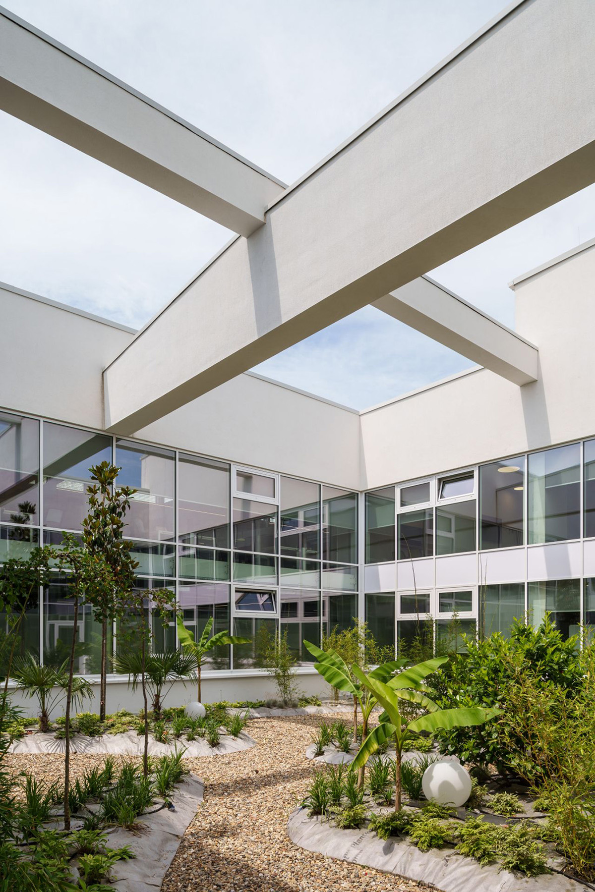 Schneiderʩ͵µģɳҵ