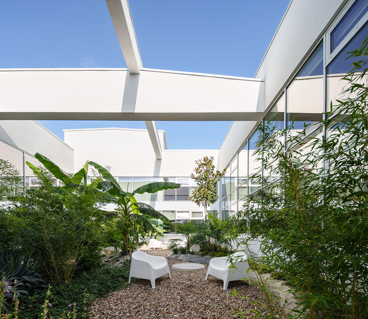 Schneiderʩ͵µģɳҵ