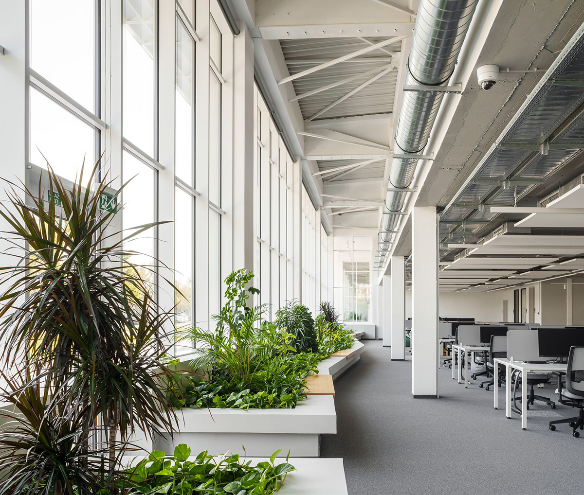 Schneiderʩ͵µģɳҵ