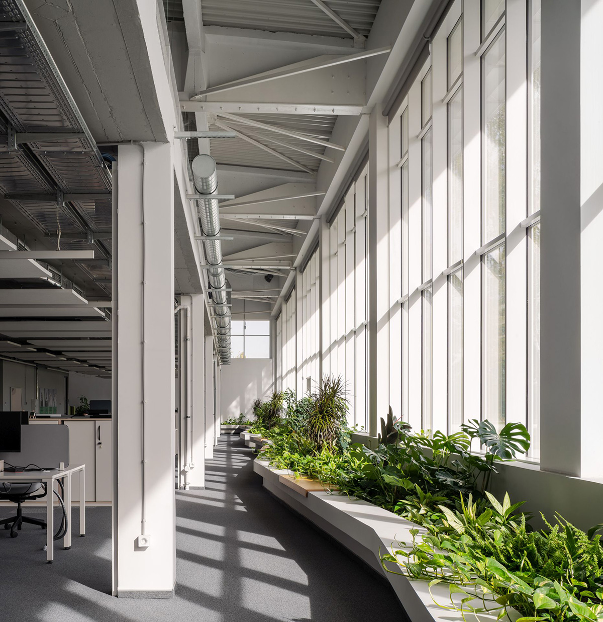 Schneiderʩ͵µģɳҵ