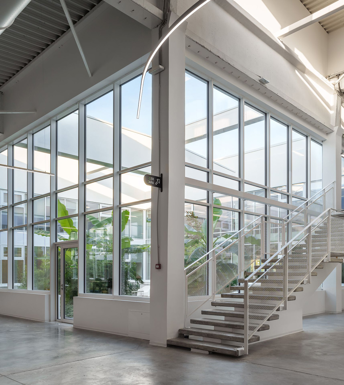 Schneiderʩ͵µģɳҵ