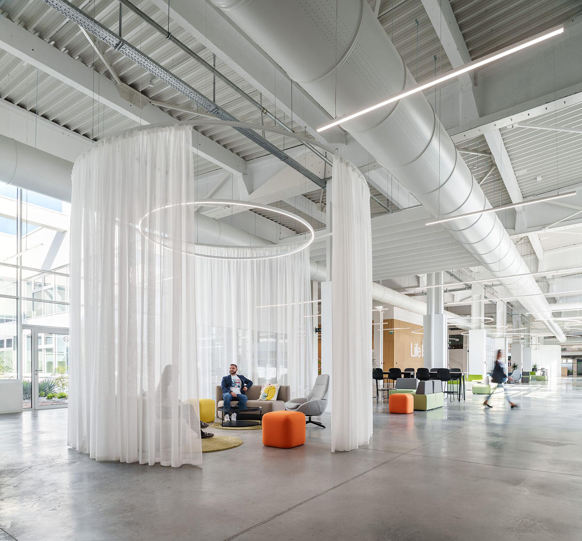 Schneiderʩ͵µģɳҵ