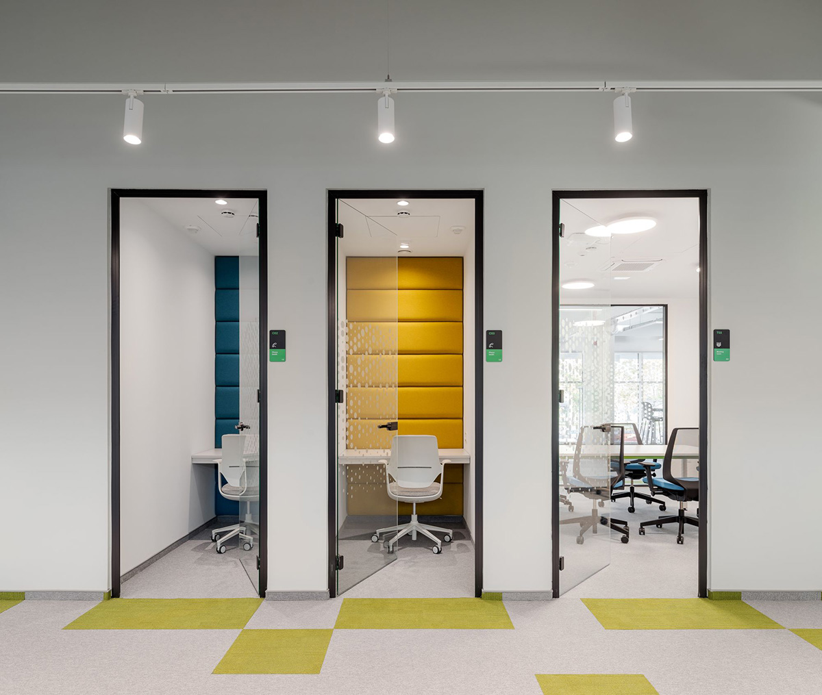 Schneiderʩ͵µģɳҵ