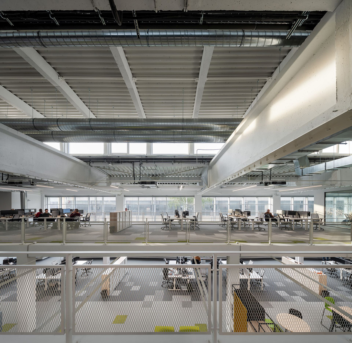 Schneiderʩ͵µģɳҵ