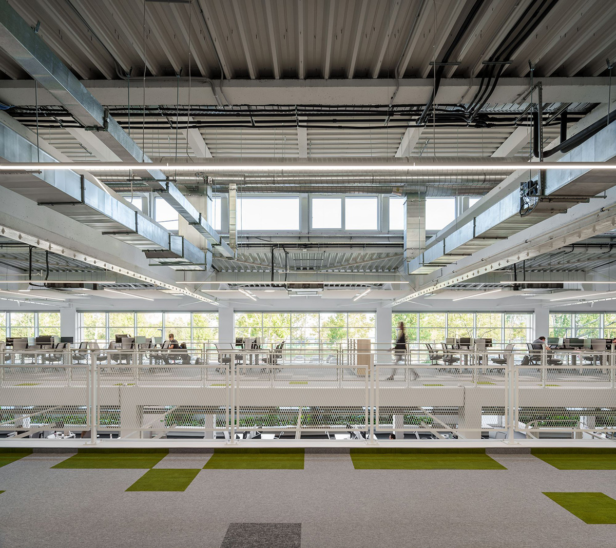 Schneiderʩ͵µģɳҵ