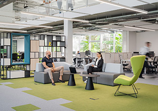 Schneiderʩ͵µģɳҵ