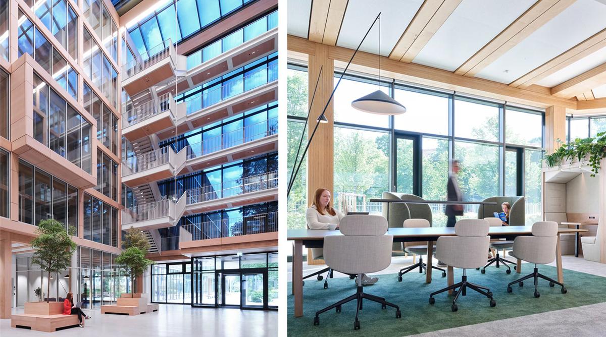 Synopsys˼ƼĽڣľƵʽռ