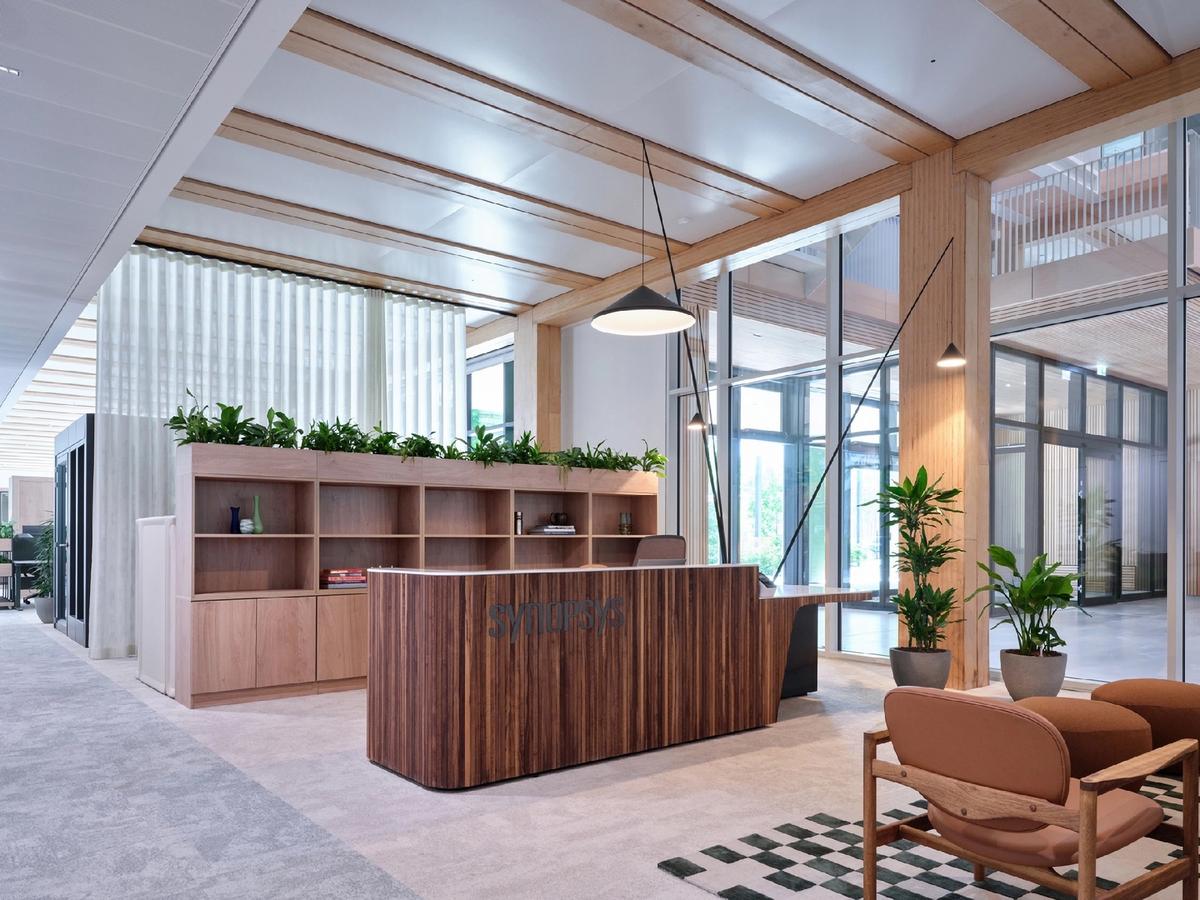 Synopsys˼ƼĽڣľƵʽռ