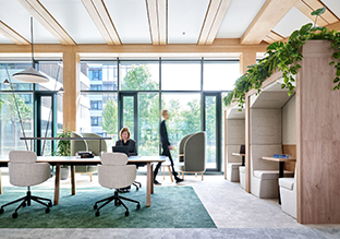 Synopsys˼ƼĽڣľƵʽռ