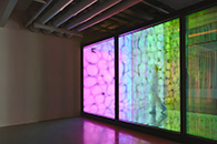 ��������̽���������İ칫 ��������