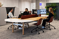 数字科技Spark NZ奥克兰总部办公 数字科技Spark NZ奥克兰总部办公