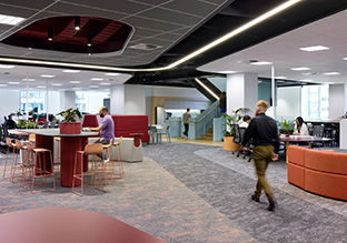 ֿƼSpark NZ¿ܲ ɳǻۿռ