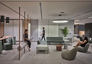 Scorpio���������ܲ�����������칫��ѧ