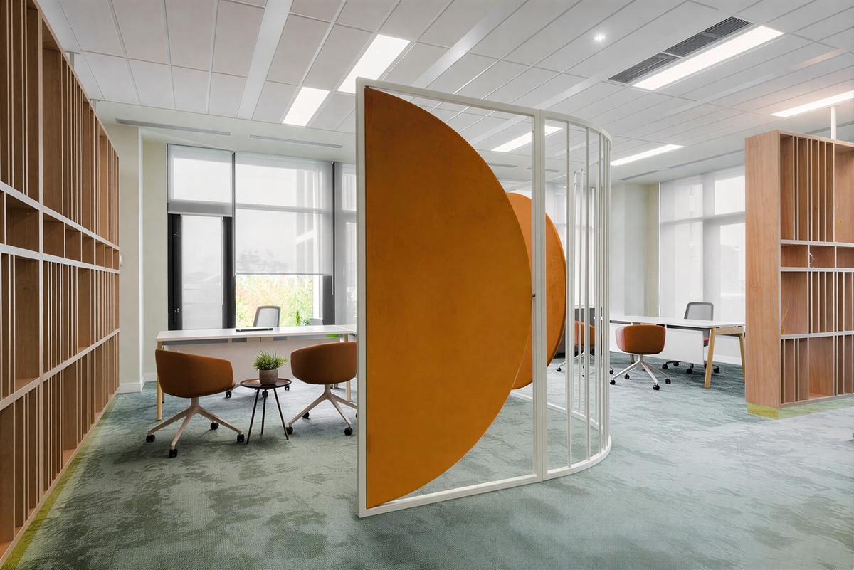 ҽ�ƾ�ͷRegina Maria������˹�ذ칫�ң���������