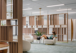 ҽ�ƾ�ͷRegina Maria������˹�ذ칫�ң���������