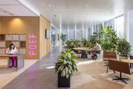 De Knoop�����ڵ���֧�칫 ����ǽ��ͼ��