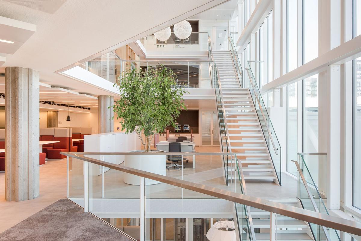 �������De Knoop������ܹ��Ҽ������Ŧ