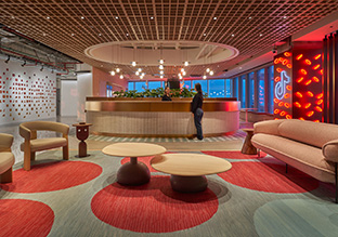 TikTokī�����ܲ����ڵ��Ļ����쳱�ռ�