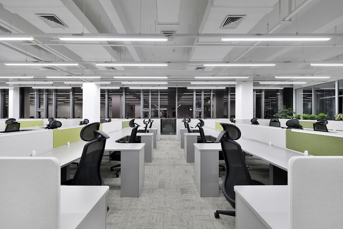 ��̩�뵼���Ϻ��ܲ����Ƽ�������˫�򱼸�