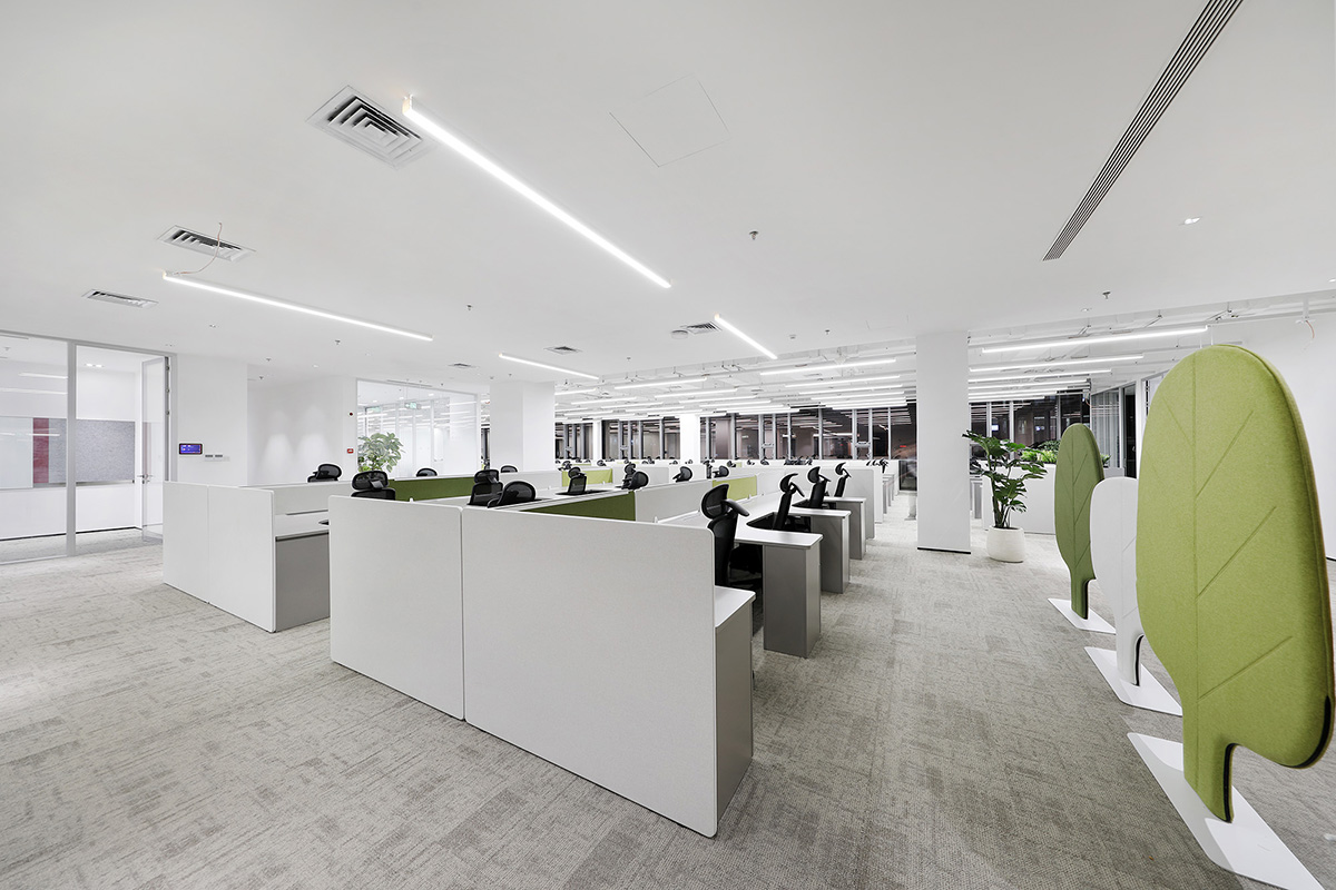 ��̩�뵼���Ϻ��ܲ����Ƽ�������˫�򱼸�