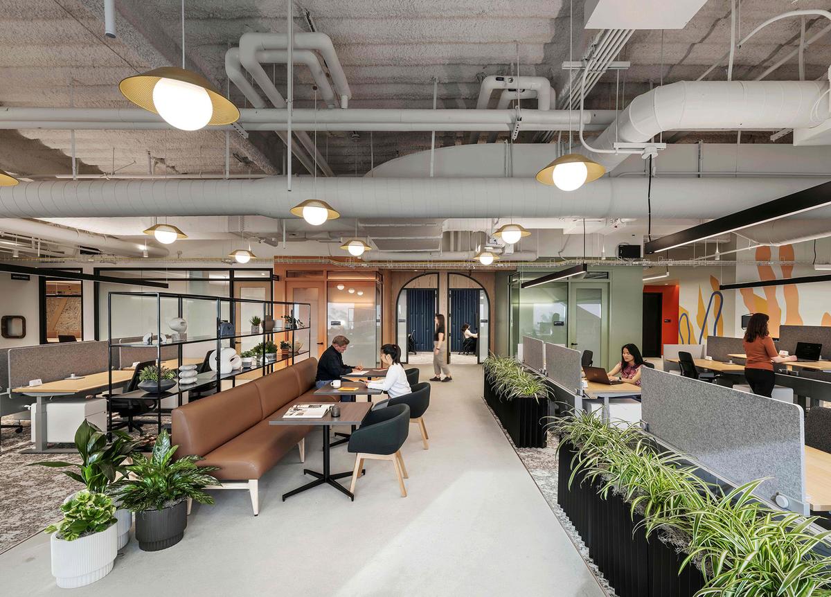 �Ƽ���ͷʥ�����ܲ�����������Ļ�������