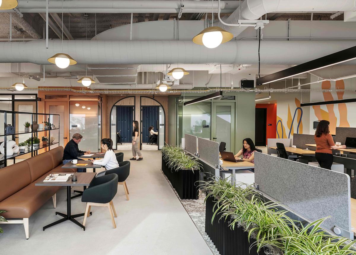 �Ƽ���ͷʥ�����ܲ�����������Ļ�������