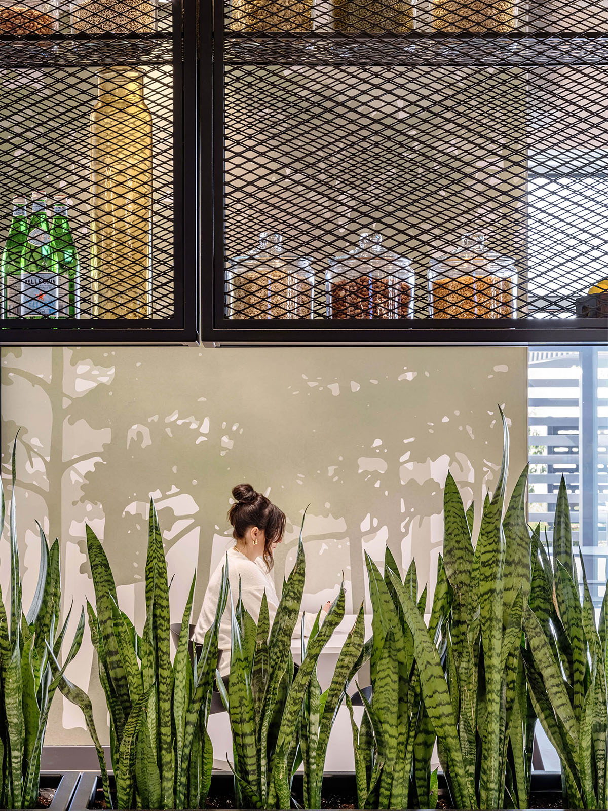 ���վ�ͷCo-operators�ܲ���˫������֤�Ľ���ʱ�а칫