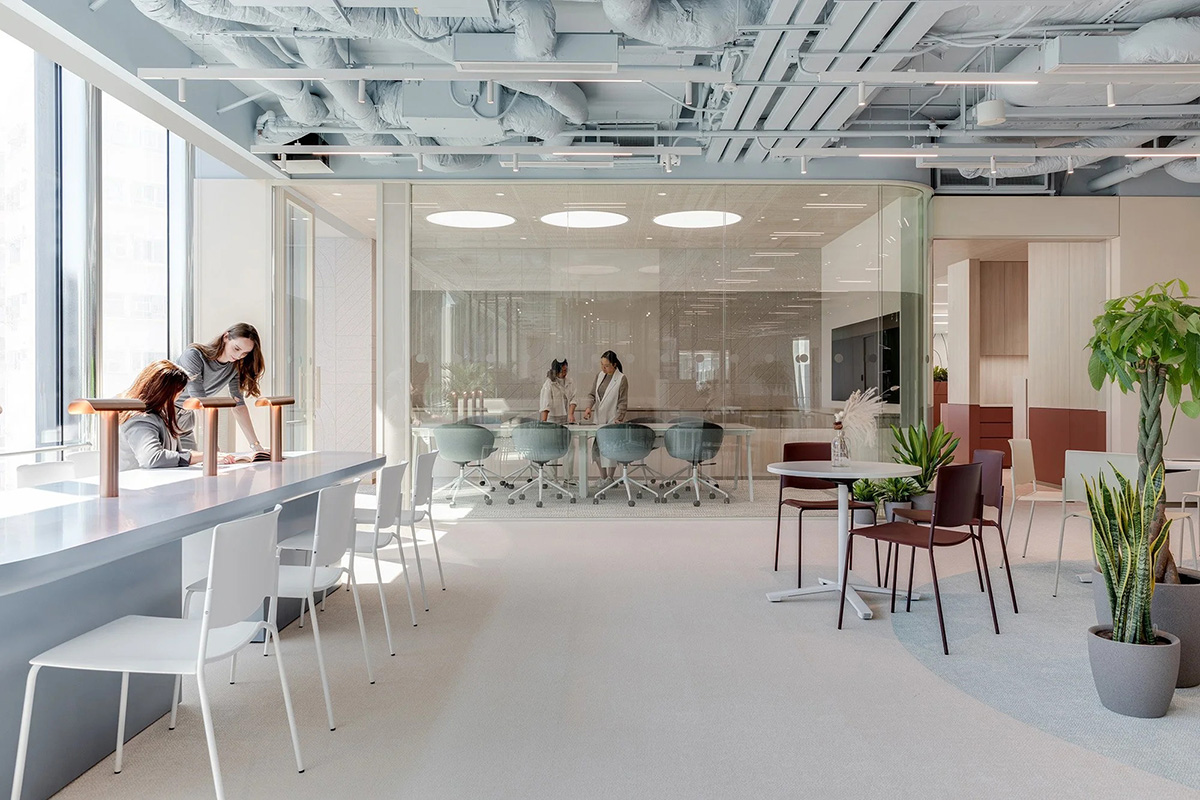 ���ھ�ͷ�����Ȼ�����Ͱ칫��ѧ