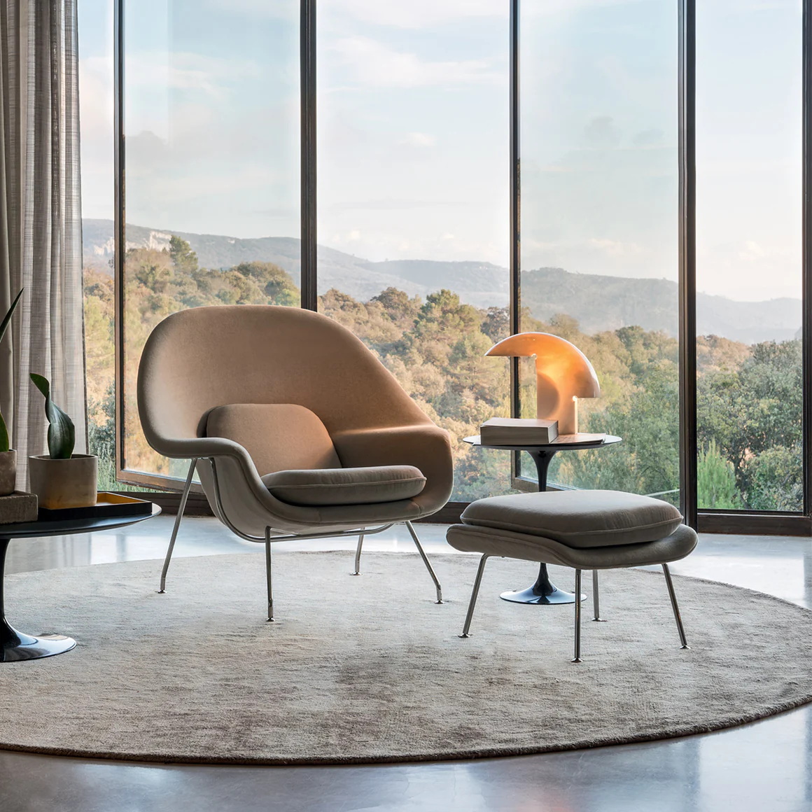 ��洫ýArm Candy����˹�칫�ң���Ʒ��ɫԾ��ռ�