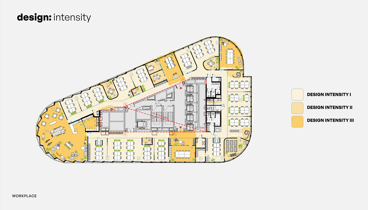 Lipton�ġ�̫�����Ρ����֣���Ĺ�λ�Ǽ����ӵ�̫����