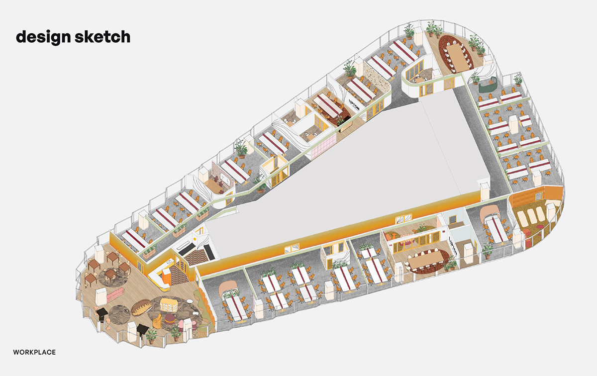 Lipton�ġ�̫�����Ρ����֣���Ĺ�λ�Ǽ����ӵ�̫����