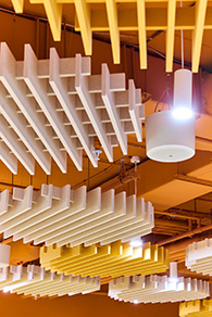 Lipton���ٲ���ȫ��������İ칫 ����ëձ