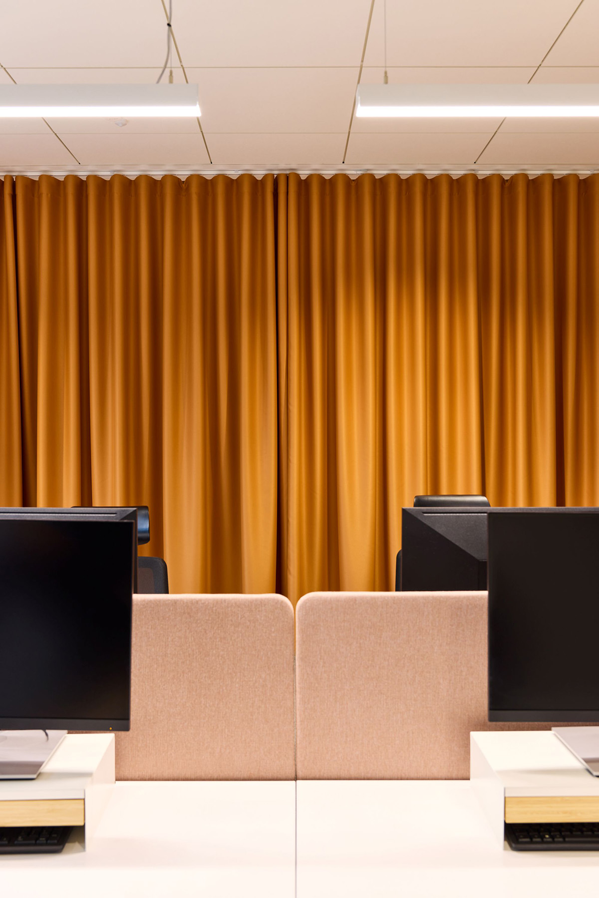 Lipton�ġ�̫�����Ρ����֣���Ĺ�λ�Ǽ����ӵ�̫����